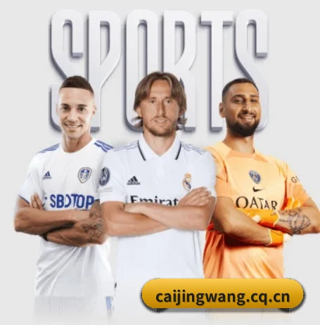 彩经网围绕看球场景设计的核心服务